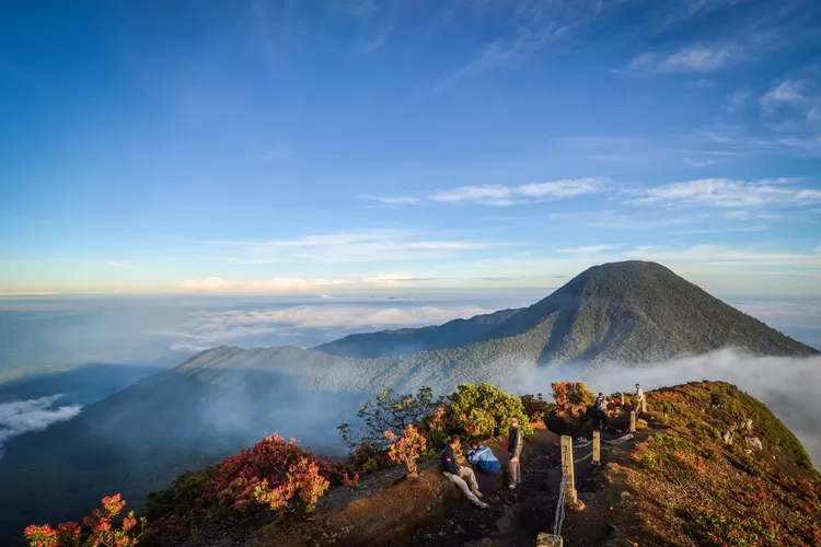Sederet Kisah Mistis Pendaki di Gunung Gede Pangrango yang Pemandangannya Viral di Media Sosial