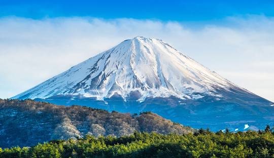 Mitos dan Hutan 'Bunuh Diri' di Gunung Fuji